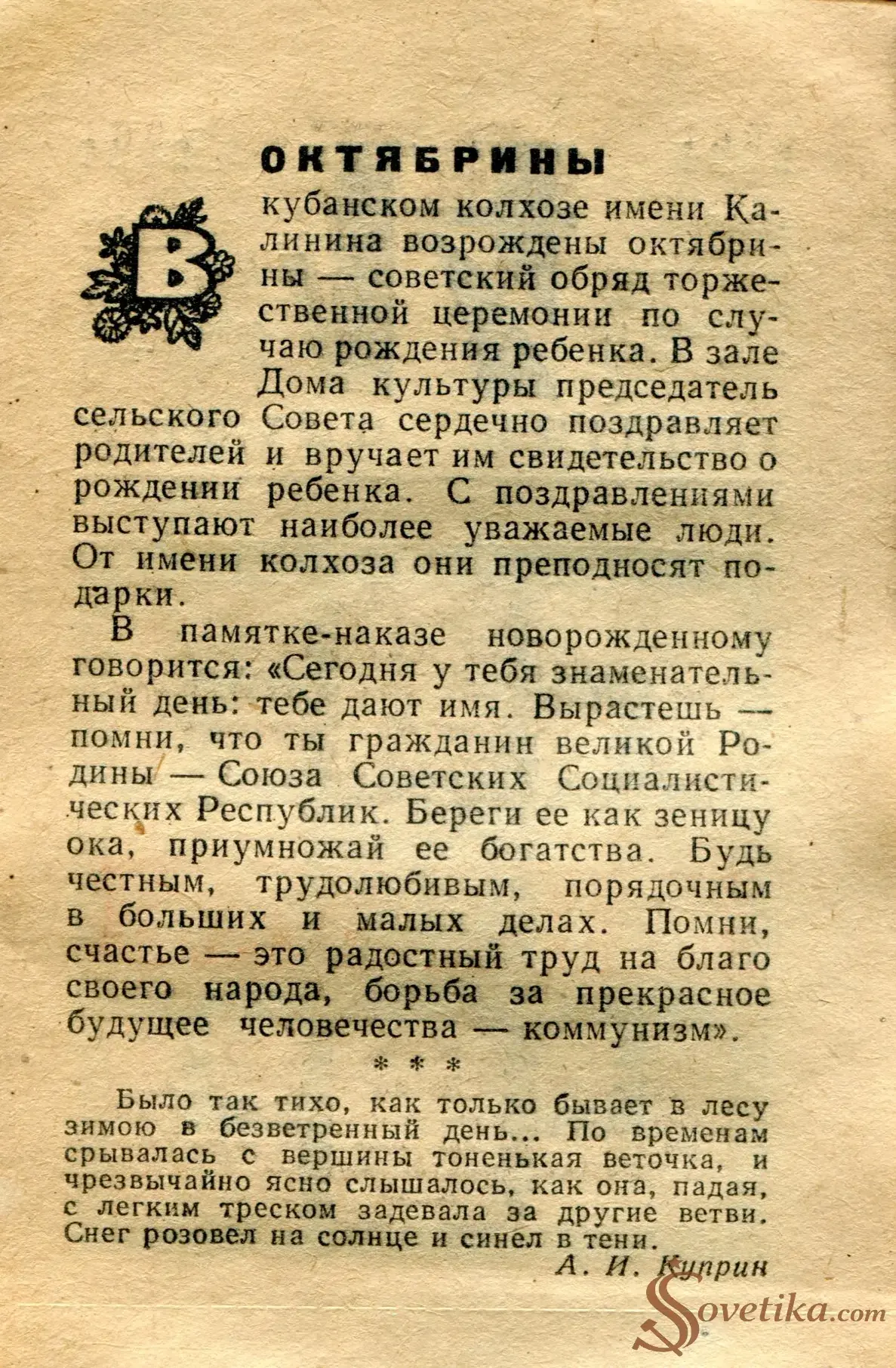 1965.01.14 - Календарь для женщин (оборот).webp