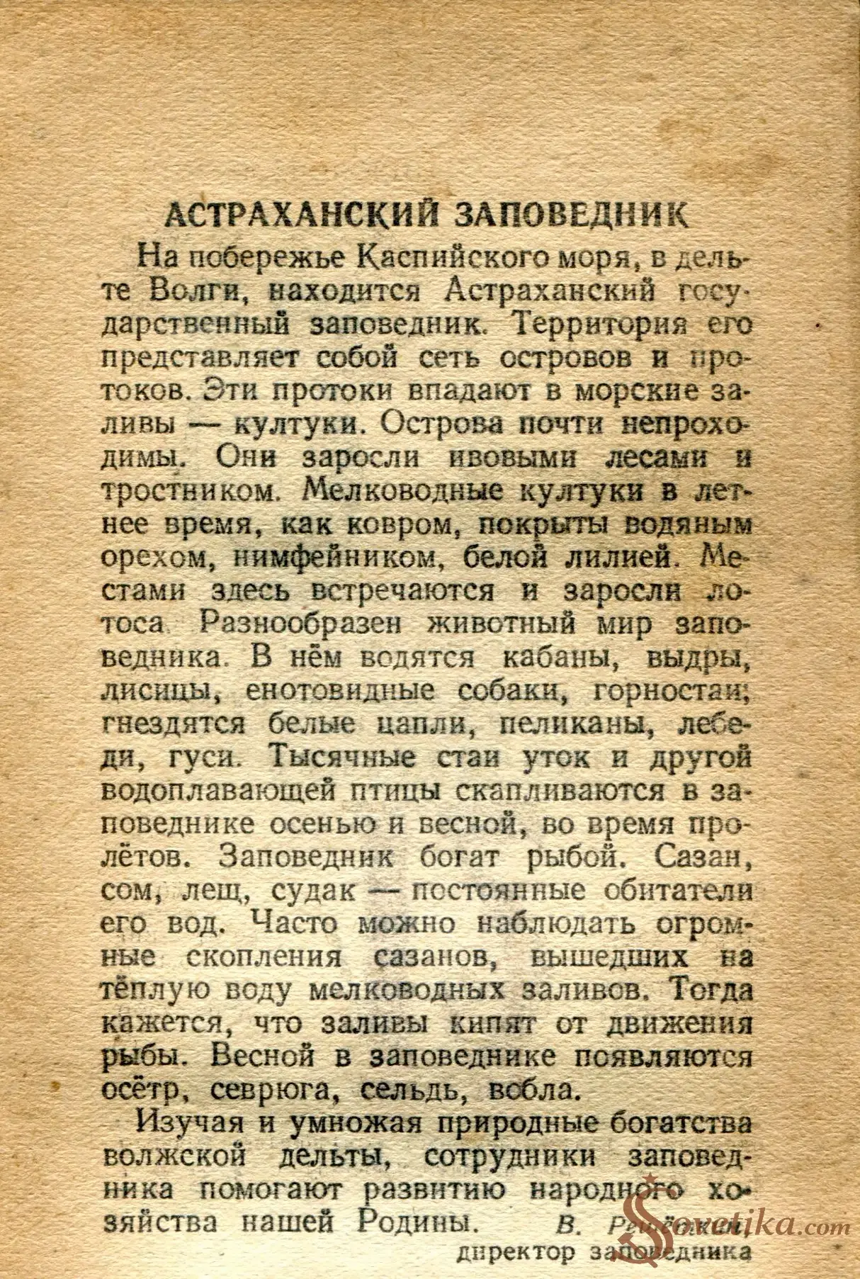 1954.04.11 - Календарь Политиздата (оборот).webp