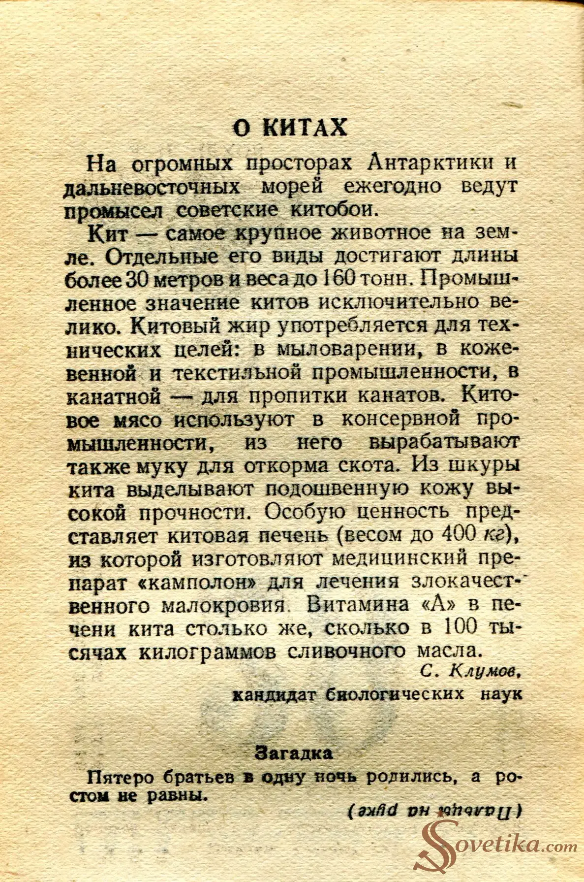 1955.01.28 - Календарь Политиздата (оборот).webp