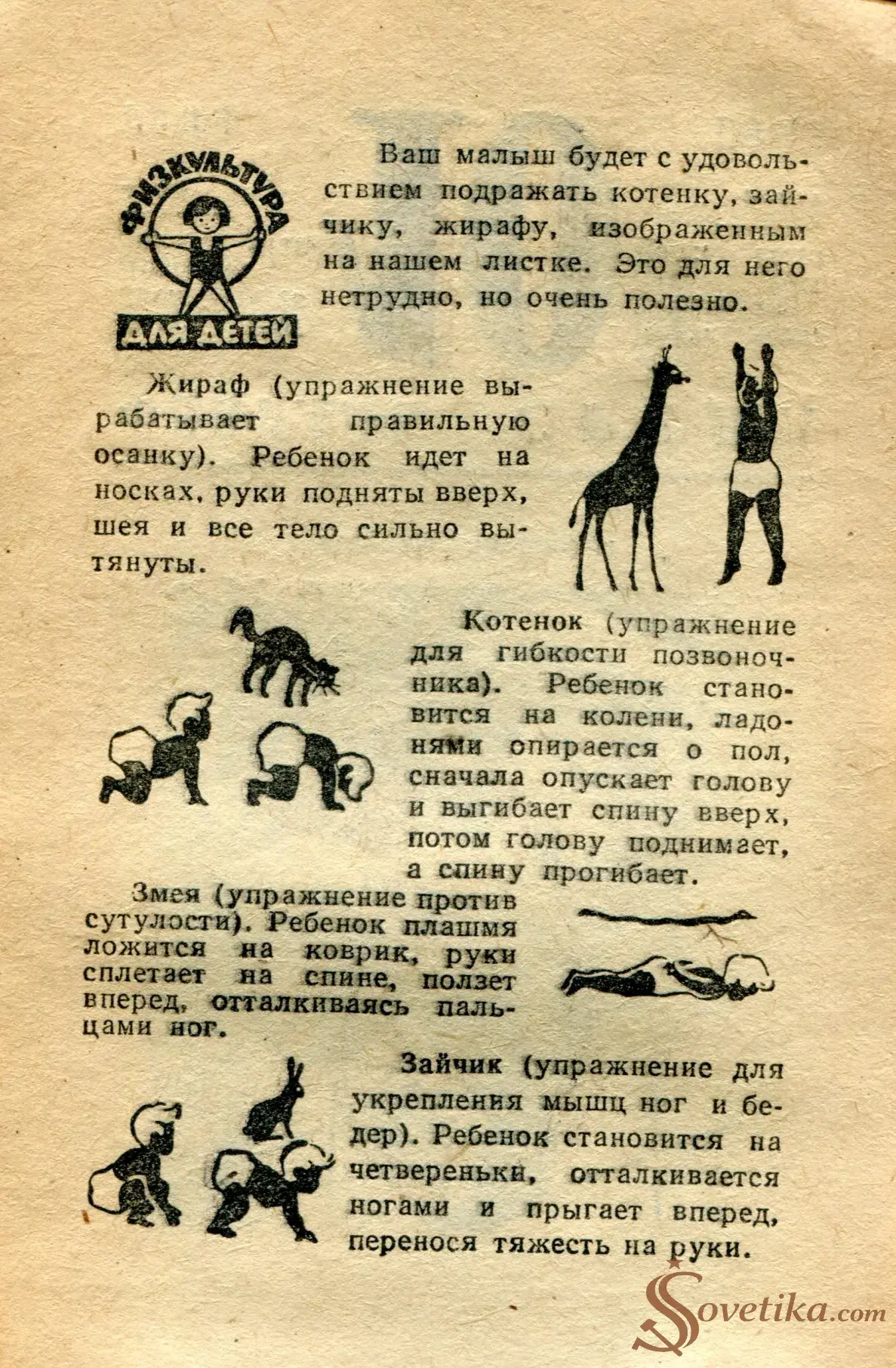 1965.02.10 - Календарь для женщин (оборот).webp