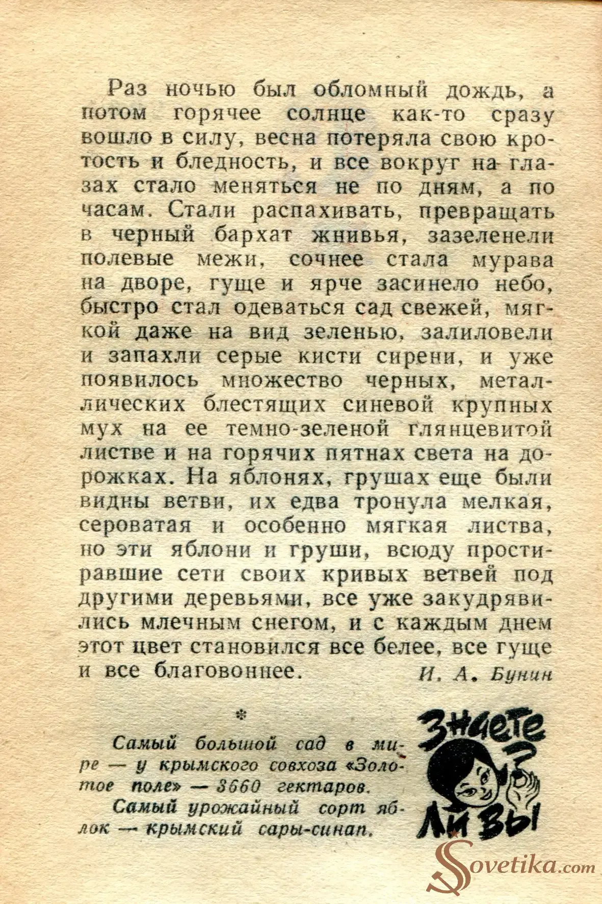 1965.06.05 - Календарь для женщин (оборот).webp