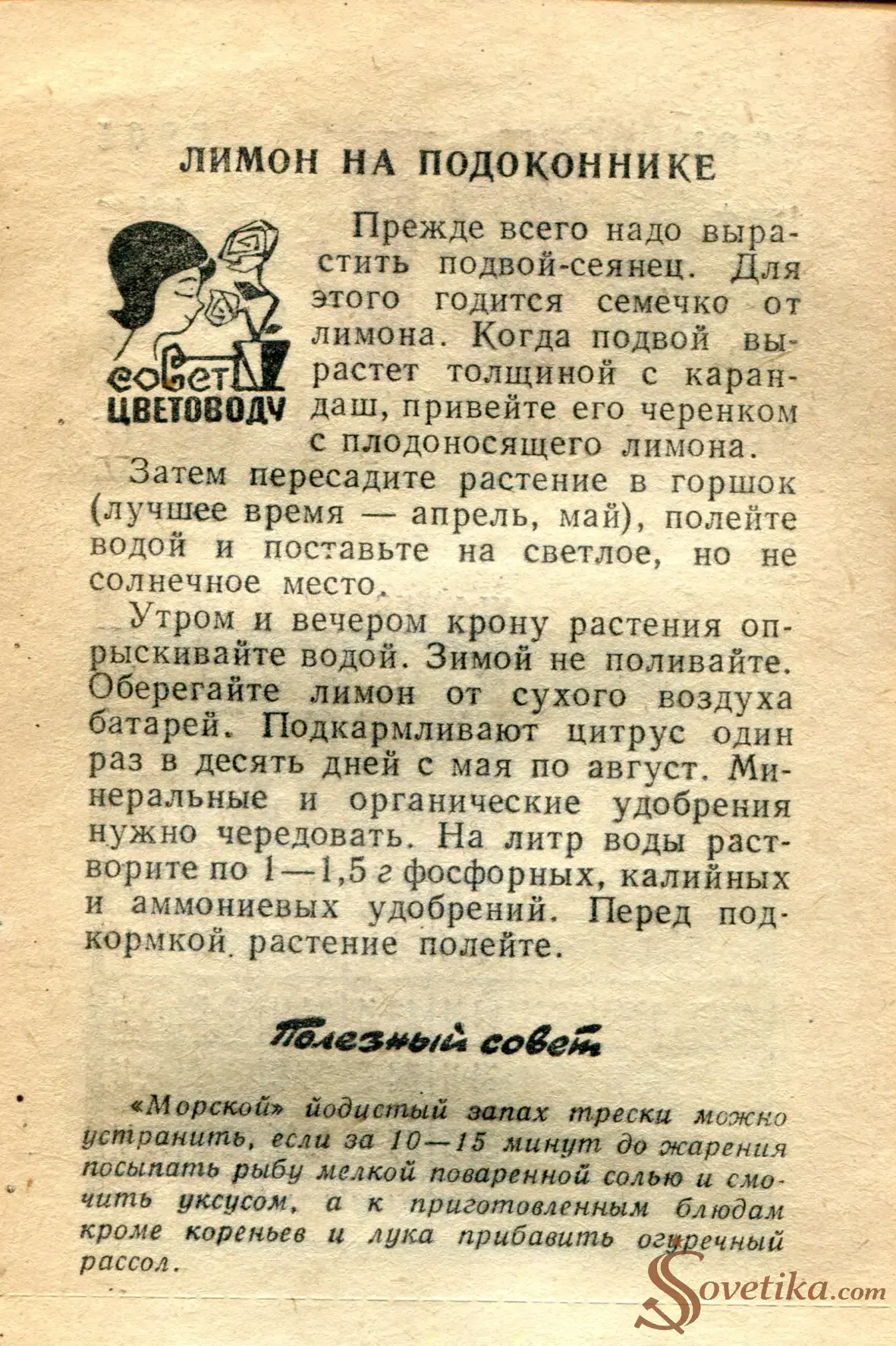 1965.06.13 - Календарь для женщин (оборот).webp