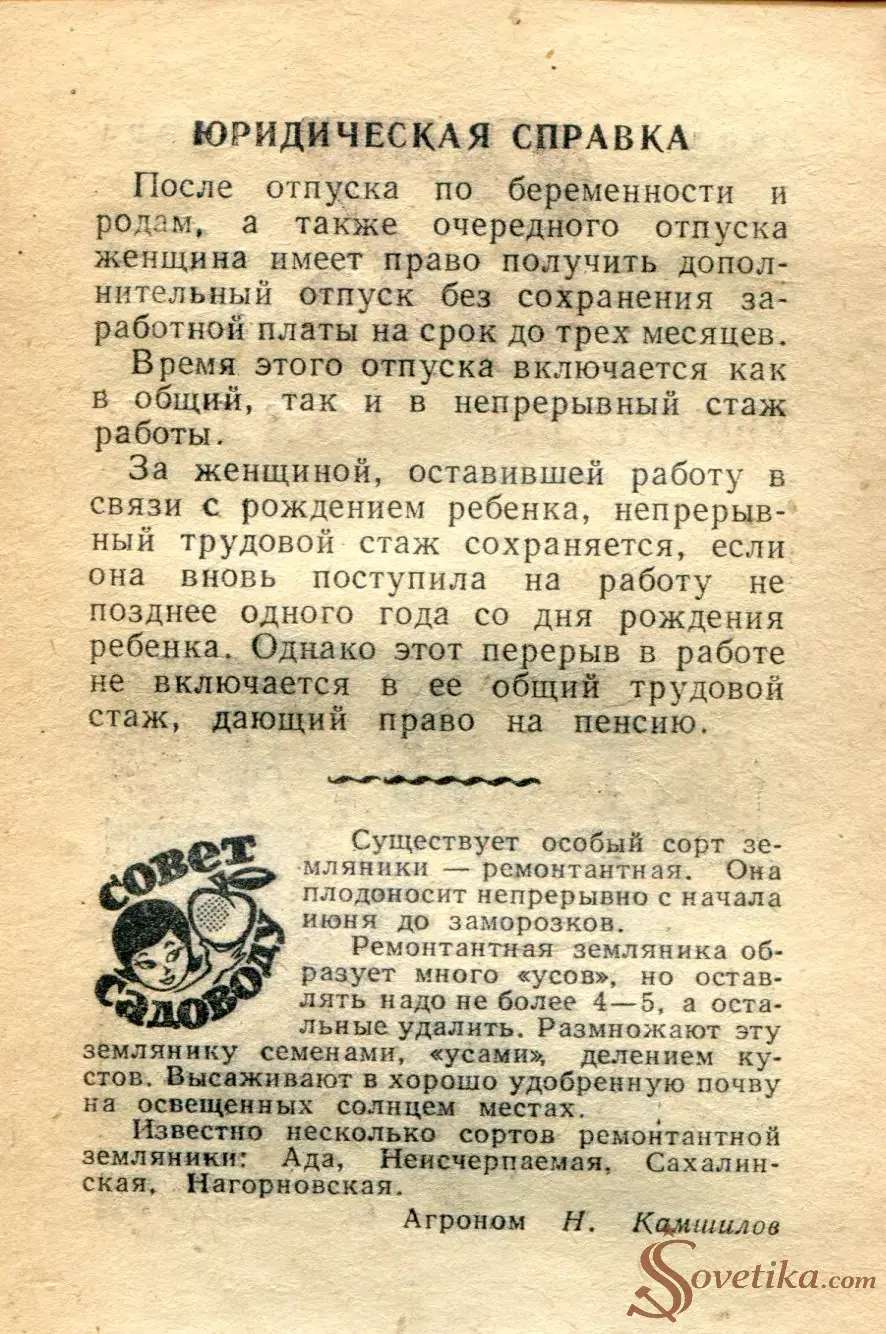 1965.08.22 - Календарь для женщин (оборот).webp