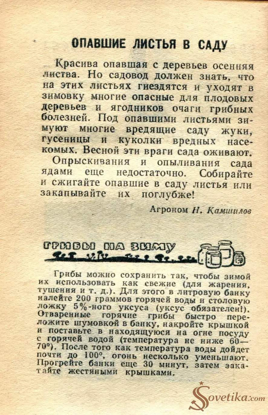 1965.09.06 - Календарь для женщин (оборот).webp