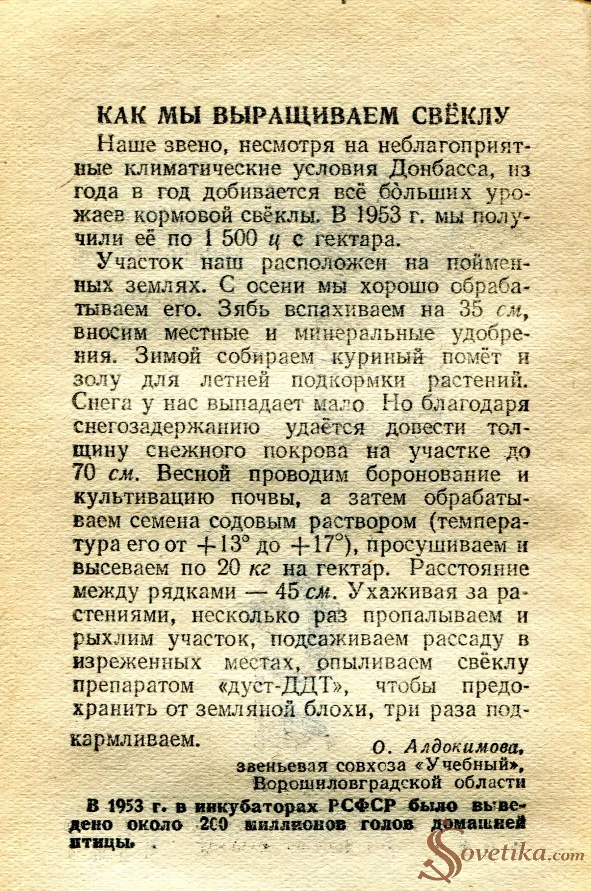 1955.03.04 - Календарь Политиздата (оборот).webp