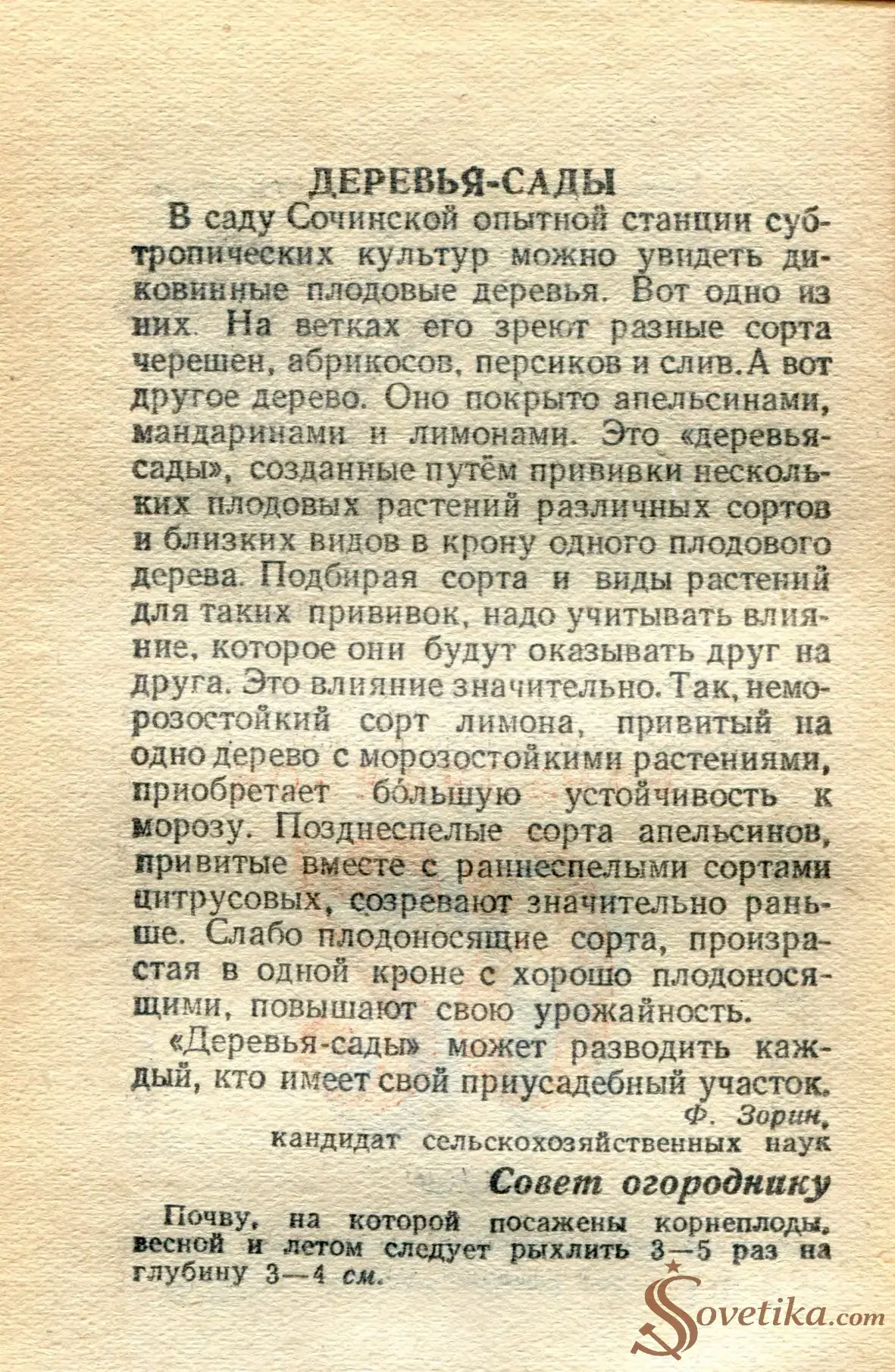 1955.05.28 - Календарь Политиздата (оборот).webp