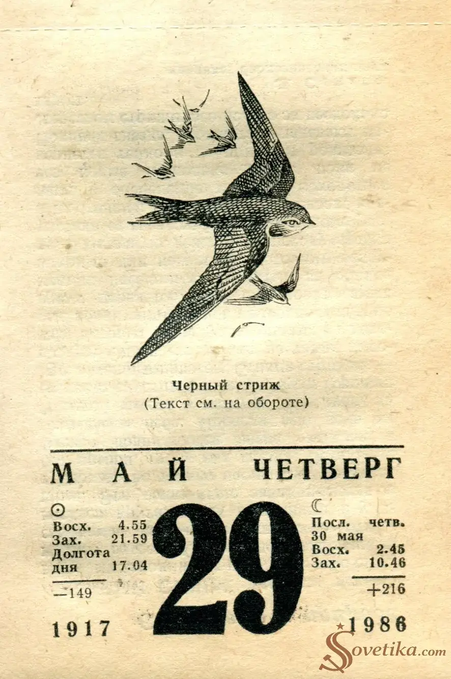 1986.05.29 - Календарь для женщин.webp